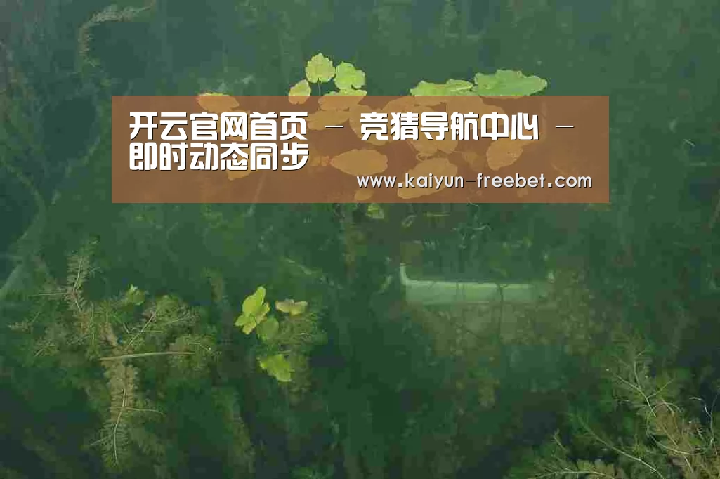 案例展示三(图1)