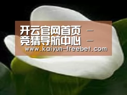 产品名称七