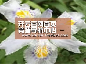 产品名称二