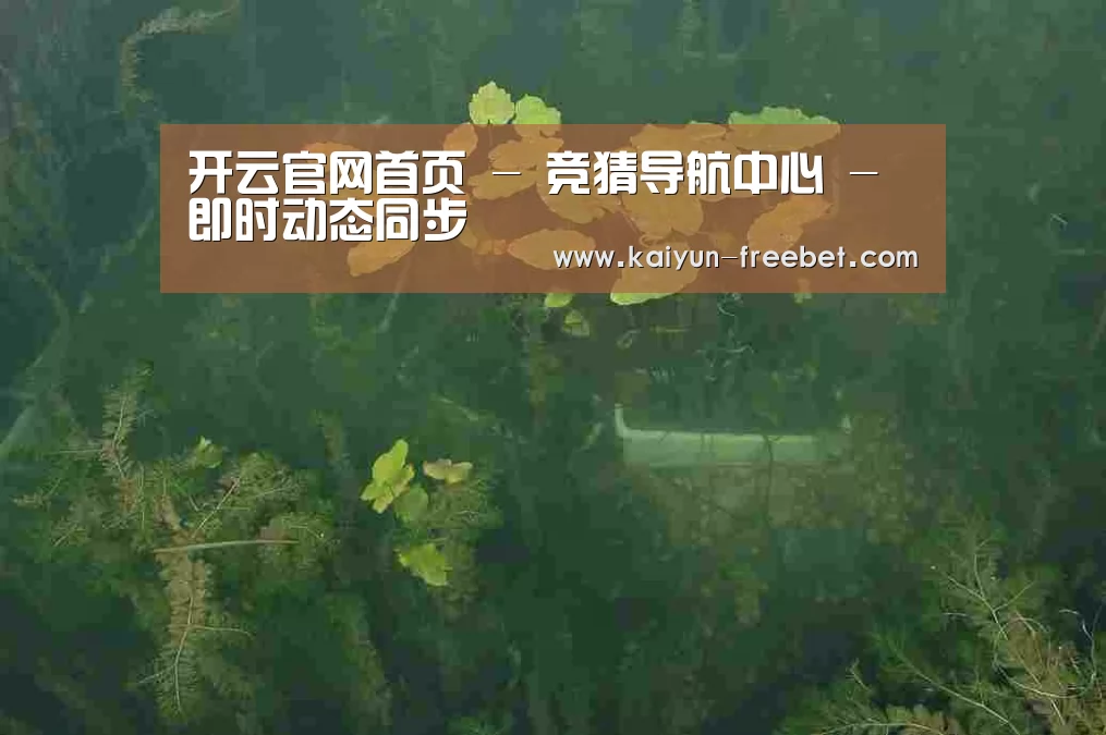案例展示三