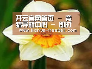 产品名称四