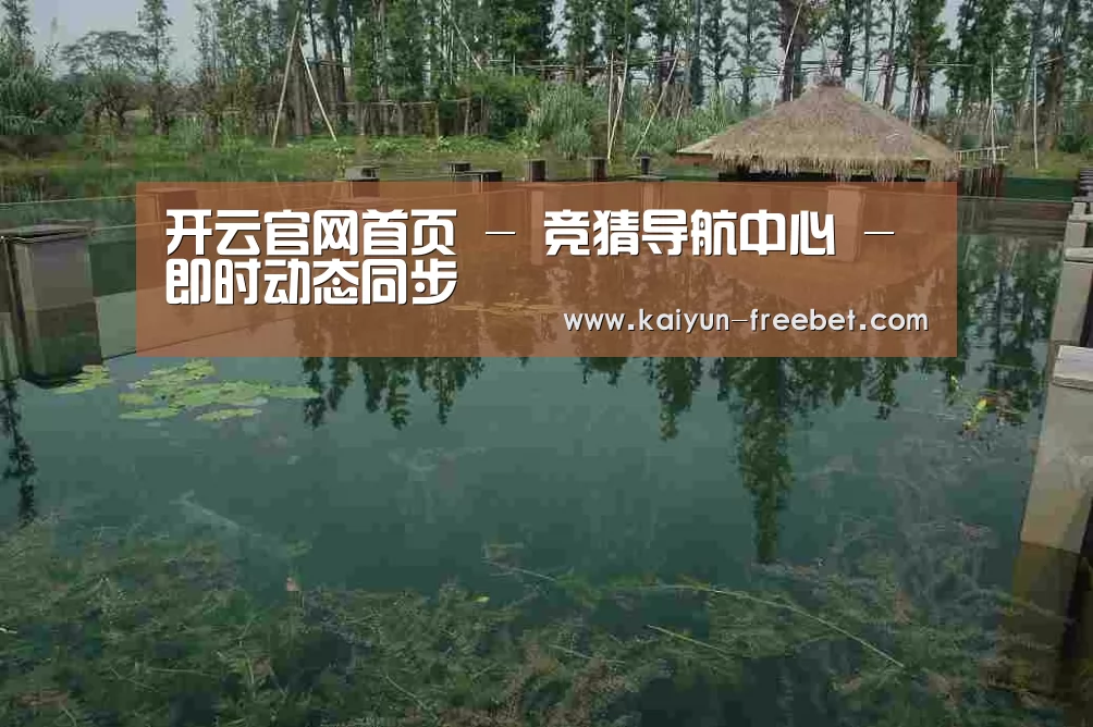 案例展示二