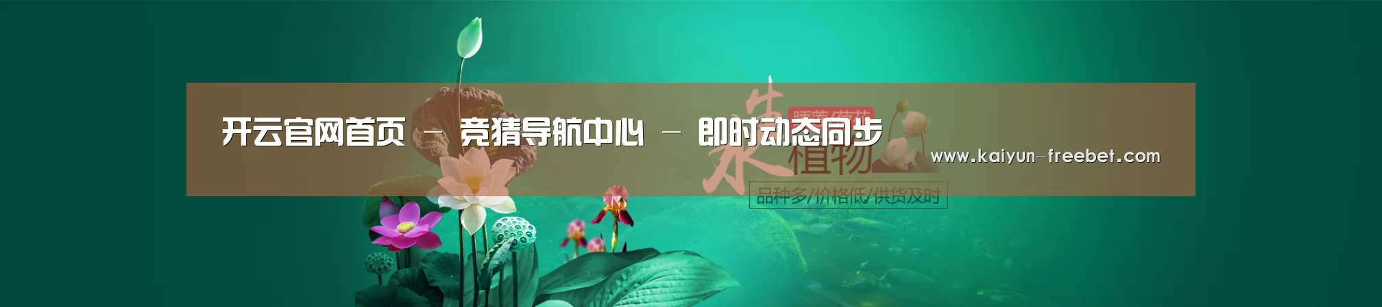 鲜花水草花卉网站模板